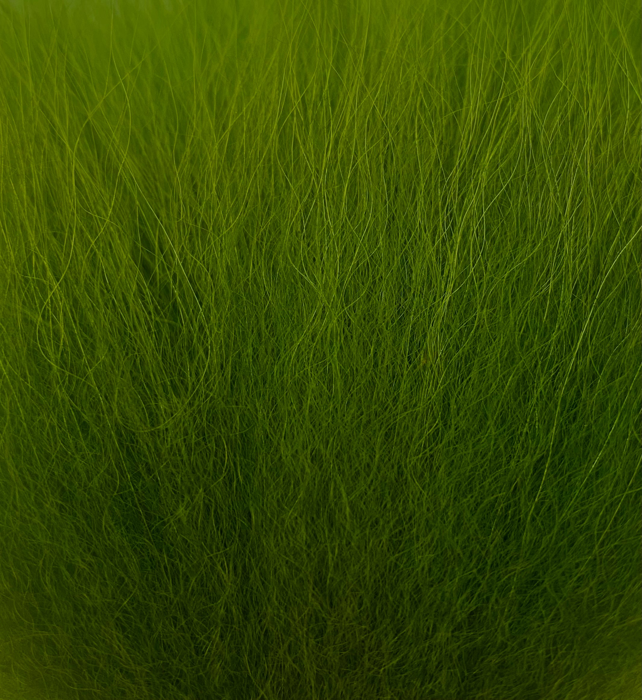 KFS TempleHair #M 65-80mm