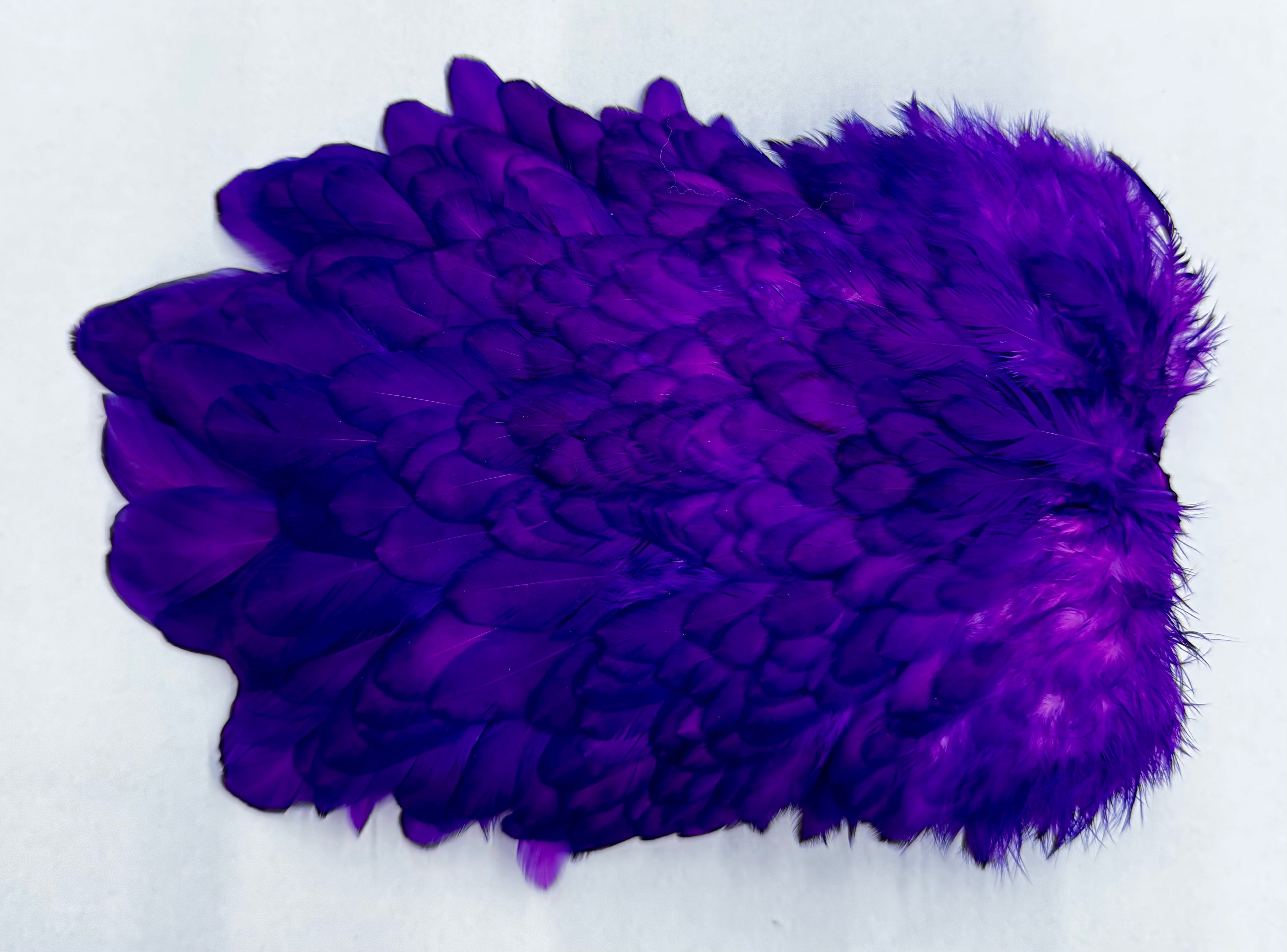 Whiting 4B`s Hen Saddle