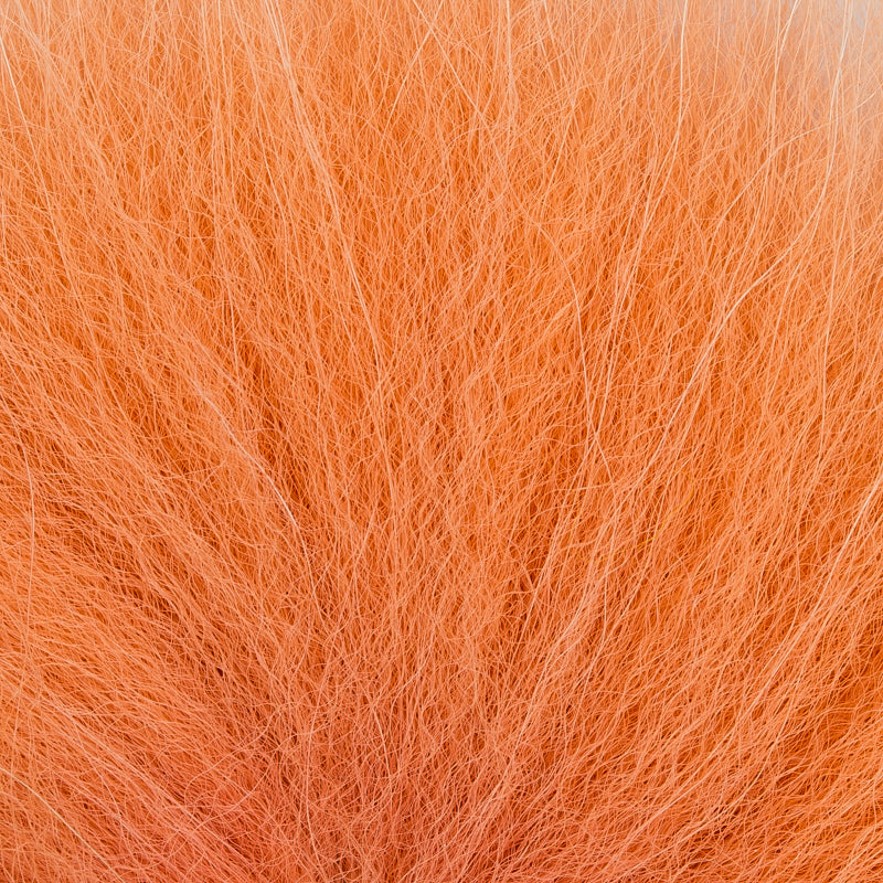 KFS Artic Fox 2XL
