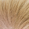 KFS Artic Fox 2XL