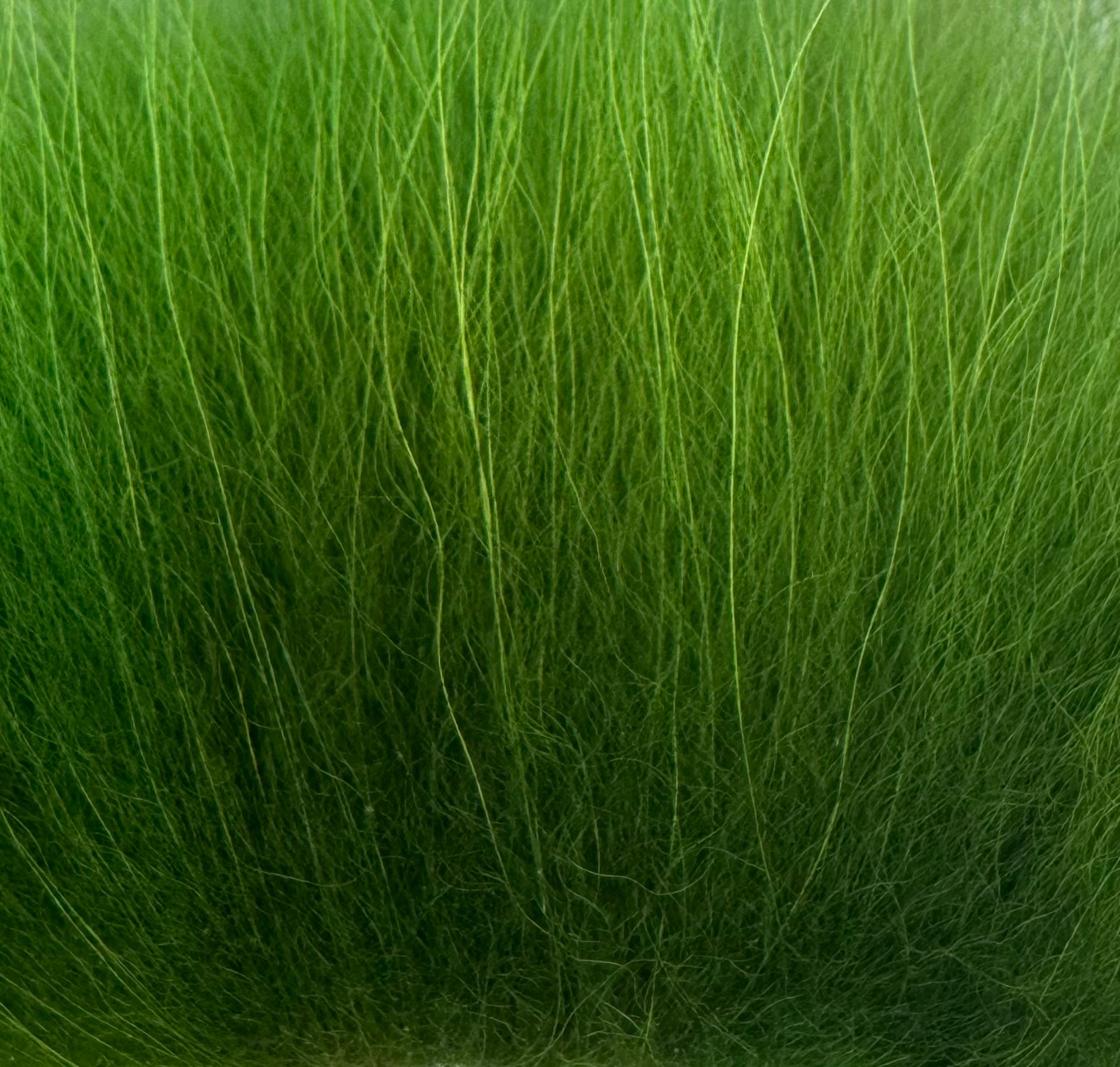KFS TempleHair #MikaMika 40-60mm