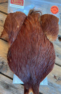 Whiting 4B`s Rooster Cape