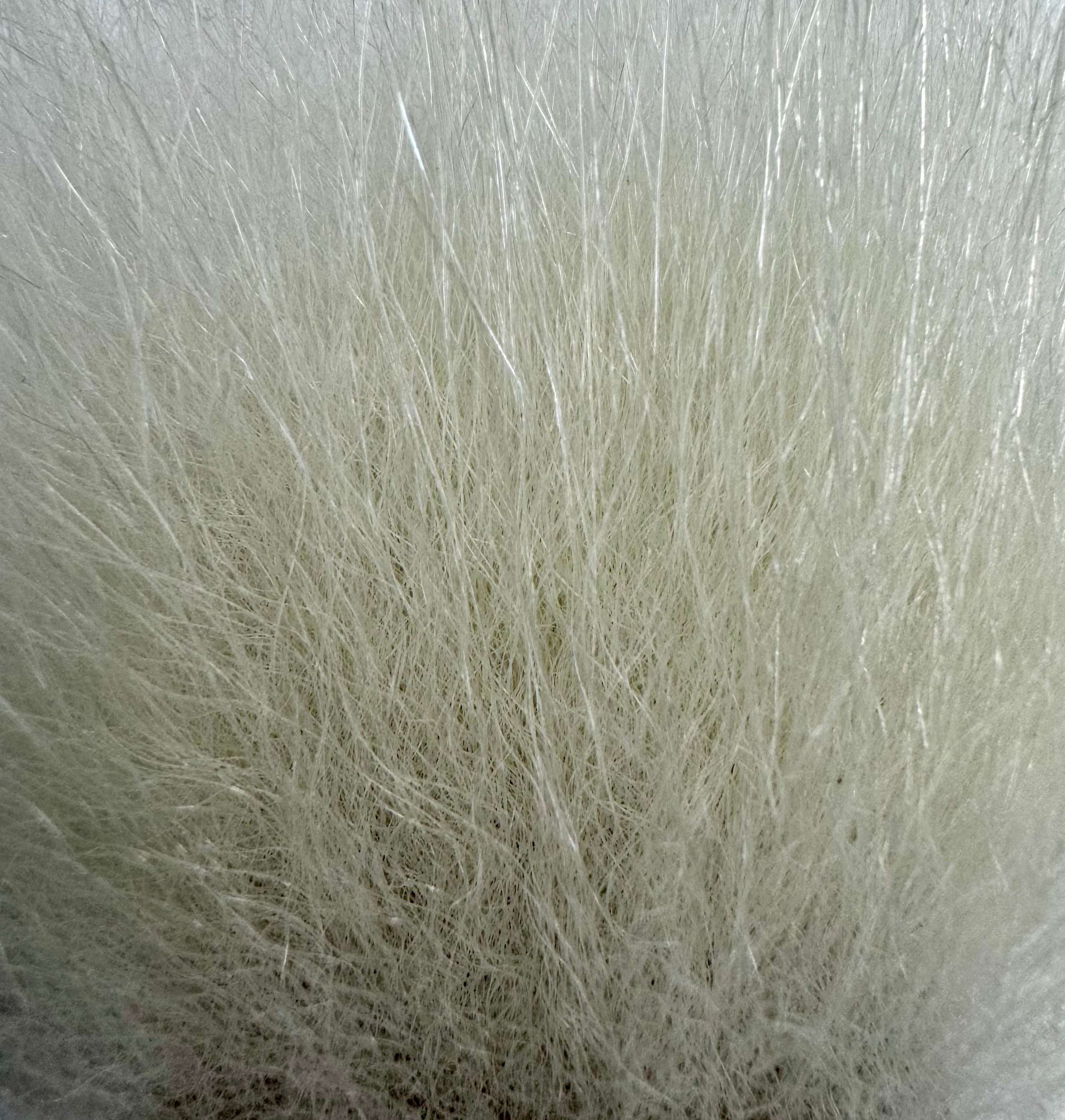 KFS PolarBear "Top Wing" yli 7cm